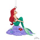 Ariel On Rock