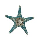 Blue Sea Star  - Glass