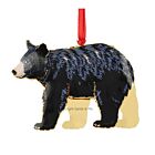 Black Bear 3D